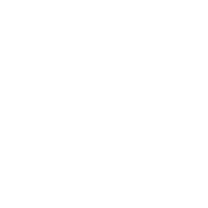 Business Write-Up icon