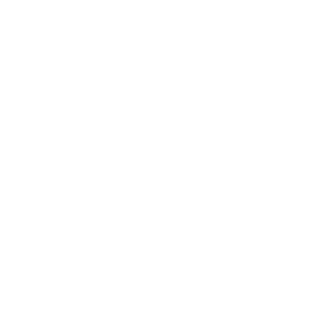 Product Listing Write-Up icon