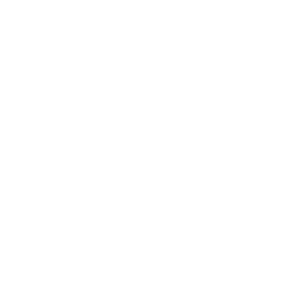 Website Content Write-Up icon
